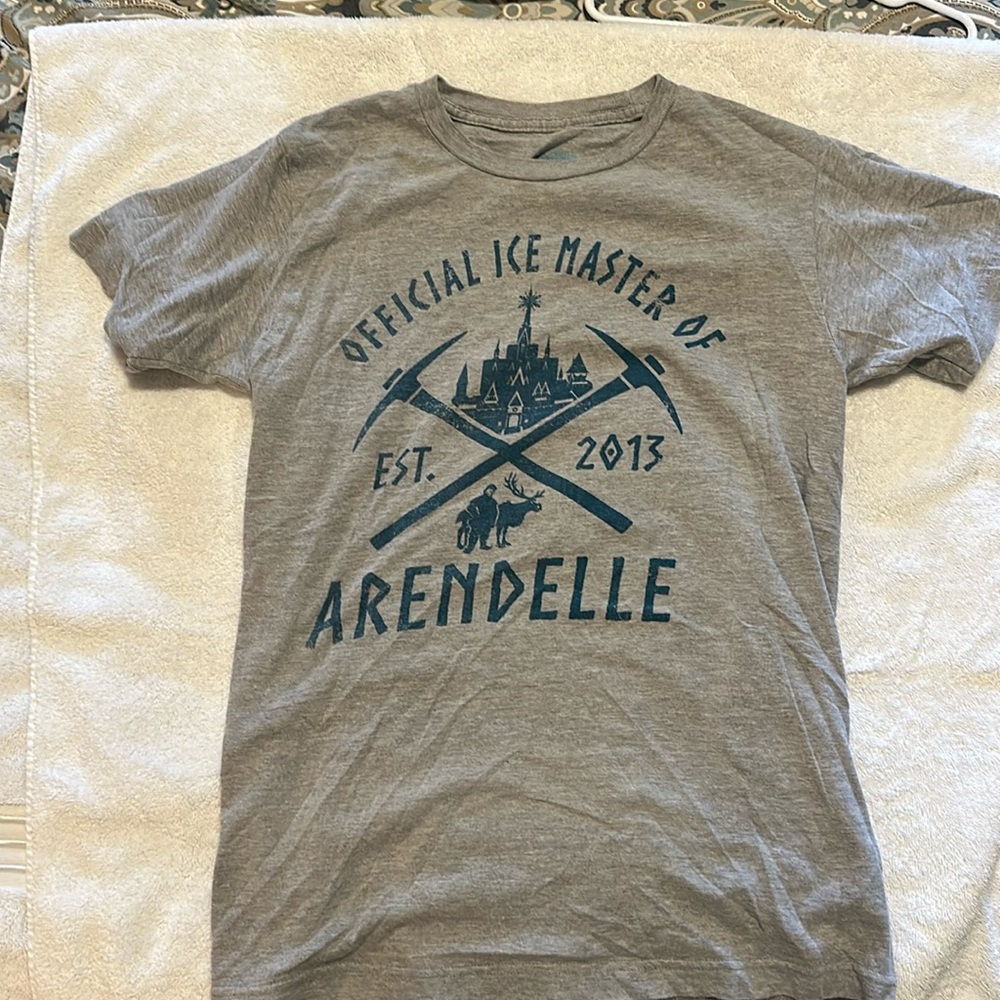 Men’s Disney Frozen Shirt Sz Small